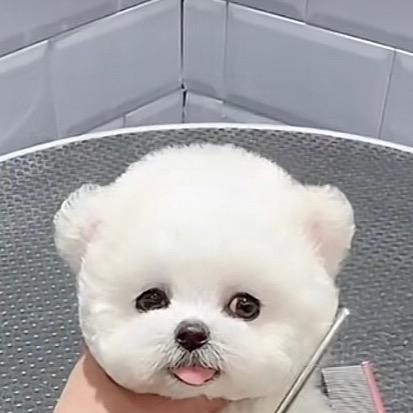 喜见昇卿