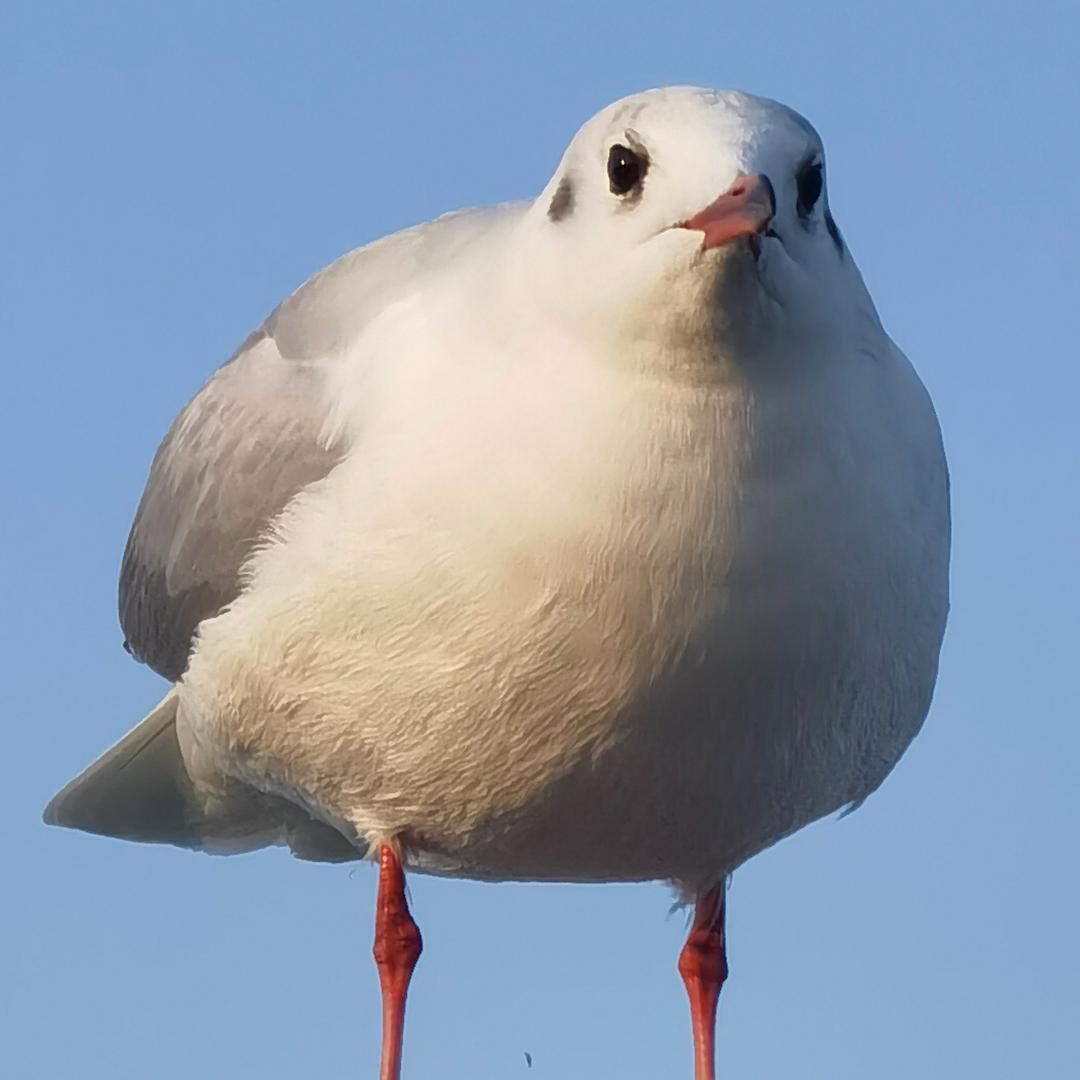 破防的农村入🔜🧱