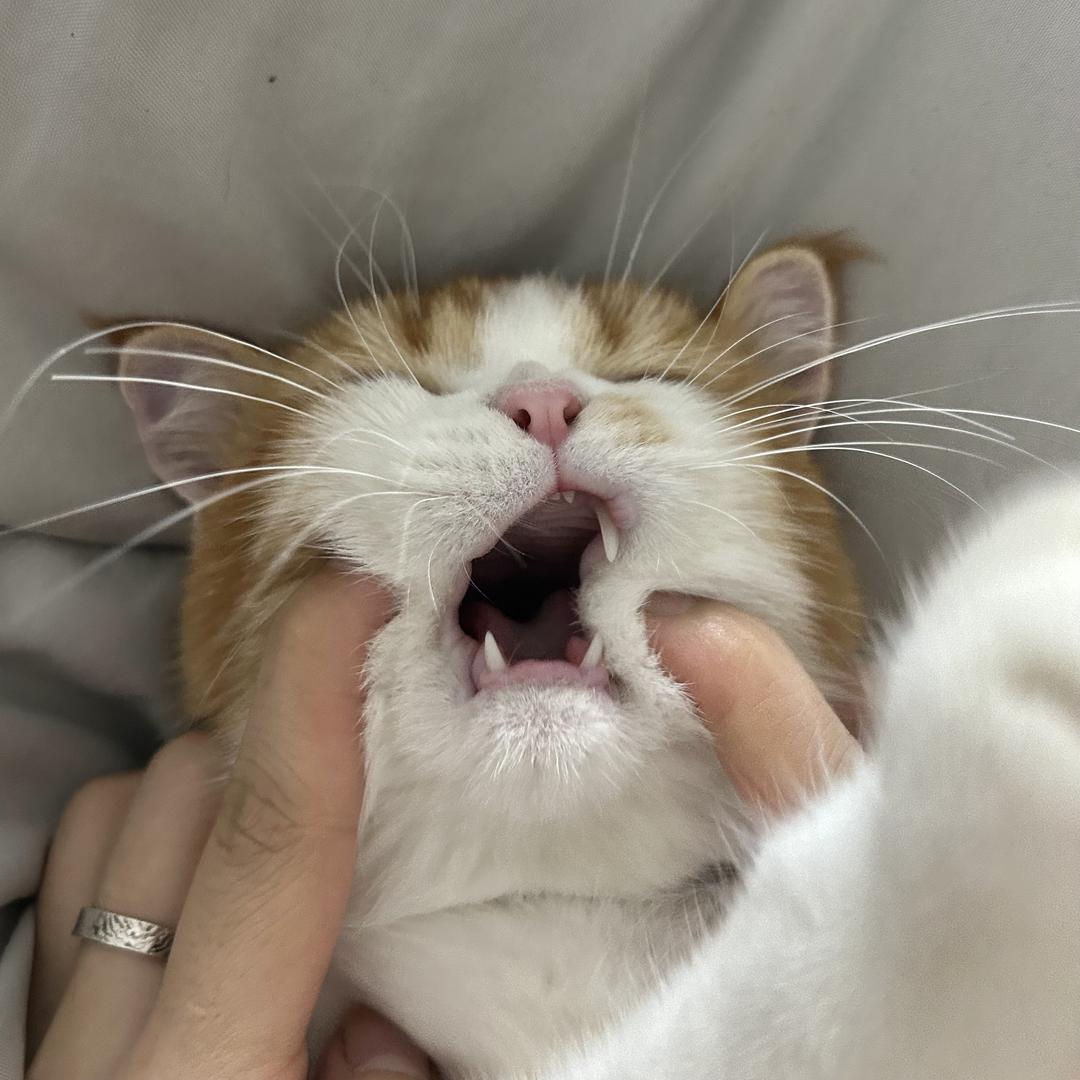 一万