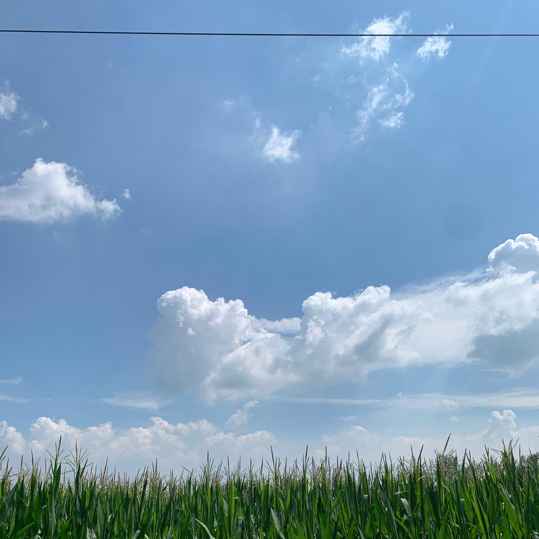 林曦曦