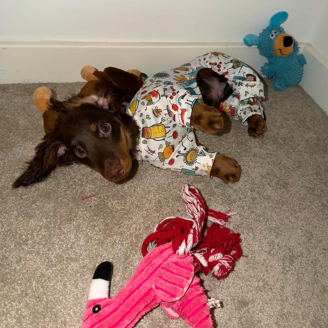 我在地球等候⠀