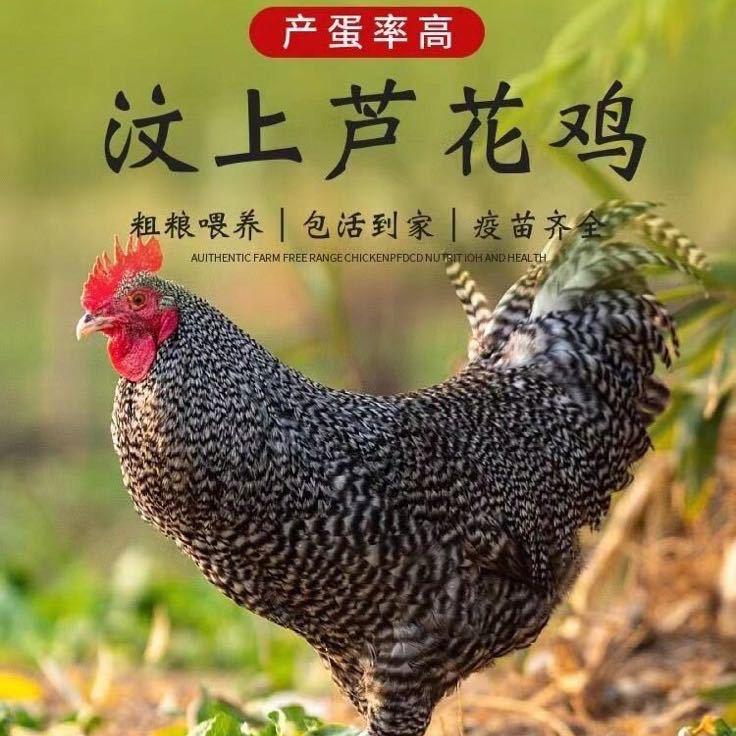 瑞祥生态农场