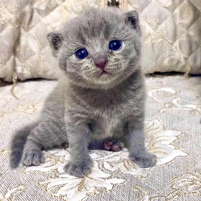 小果冻是果冻孩子@抖音