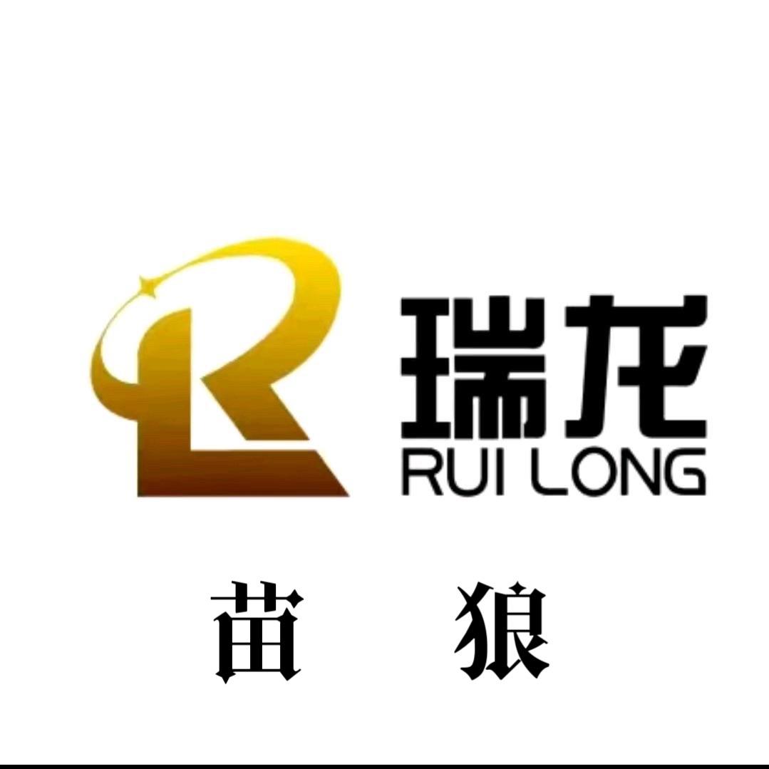 江苏沛县瑞龙汽车