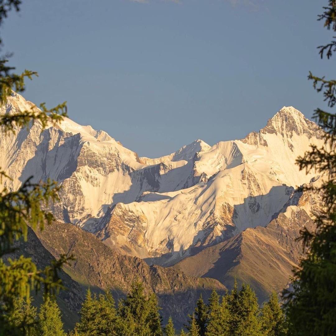 三流艺术家👨‍🎨