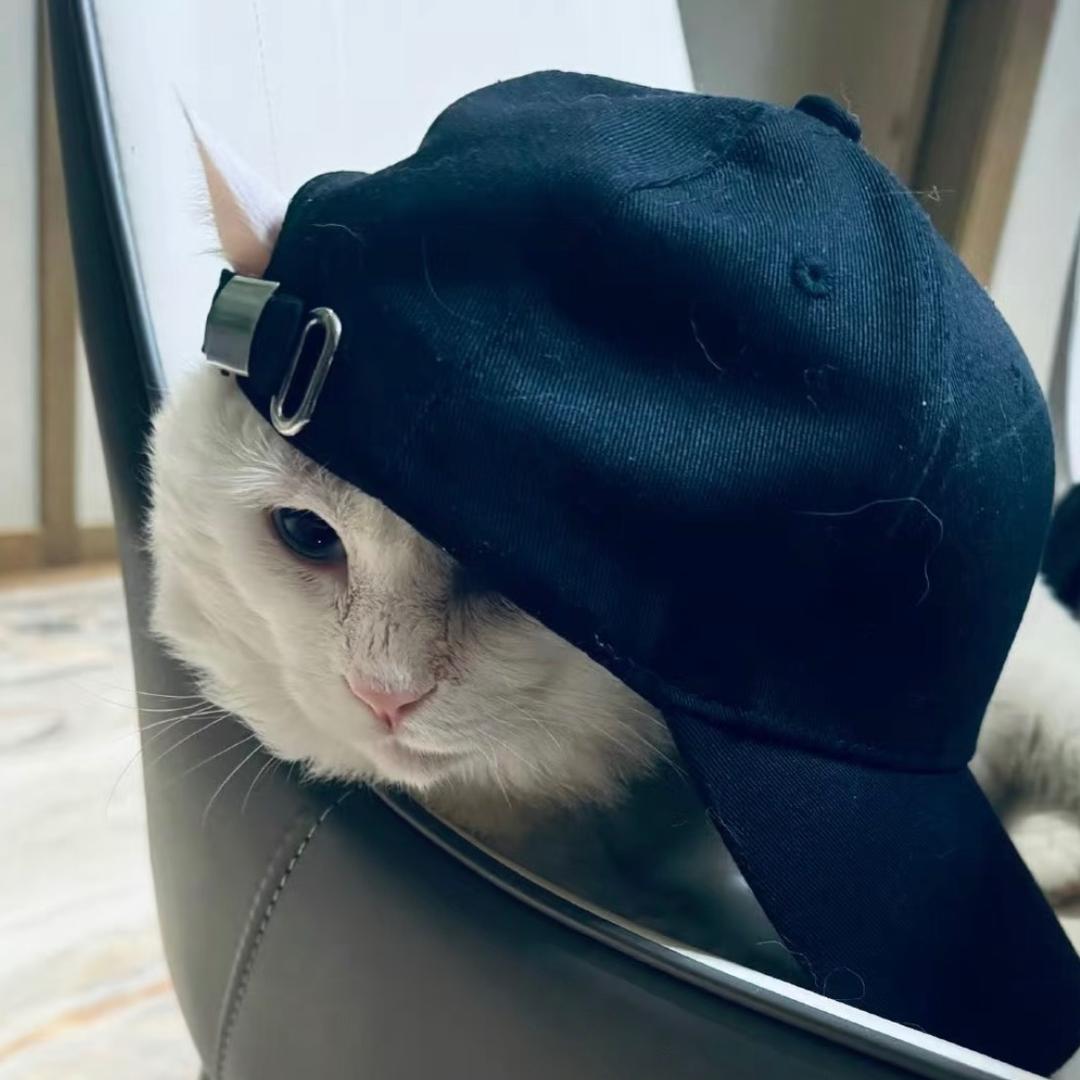 小新