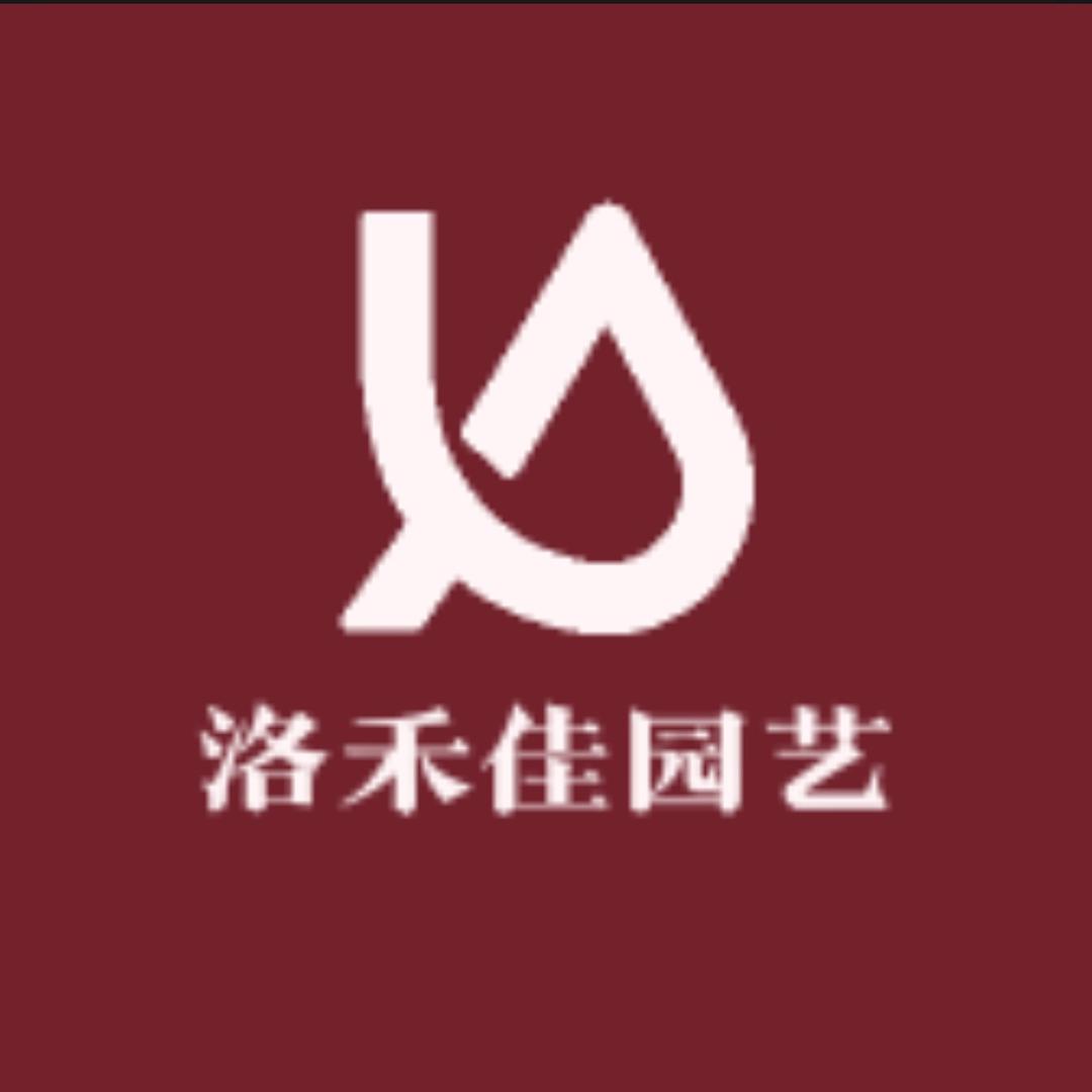 56903737546