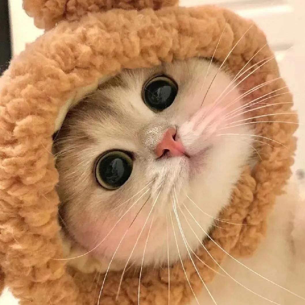 小💞喵妮