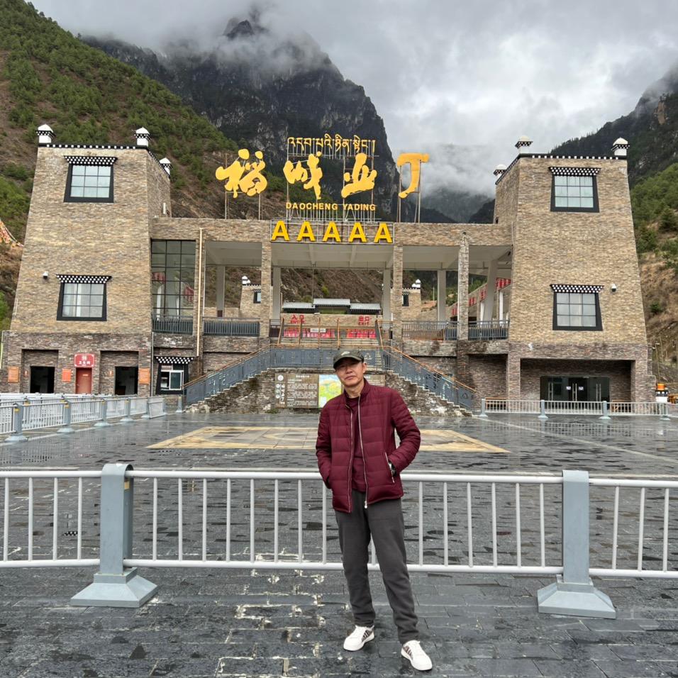树新