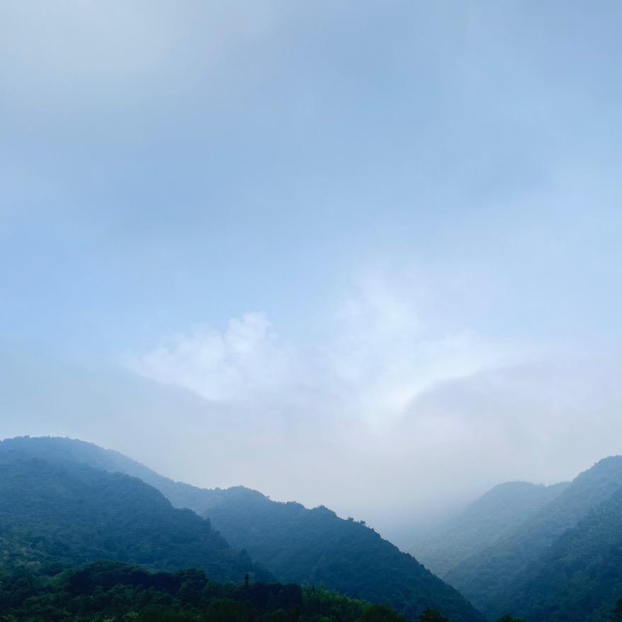 ✿ﾟ潘家大小姐