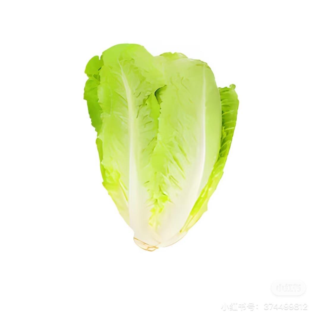 汉堡