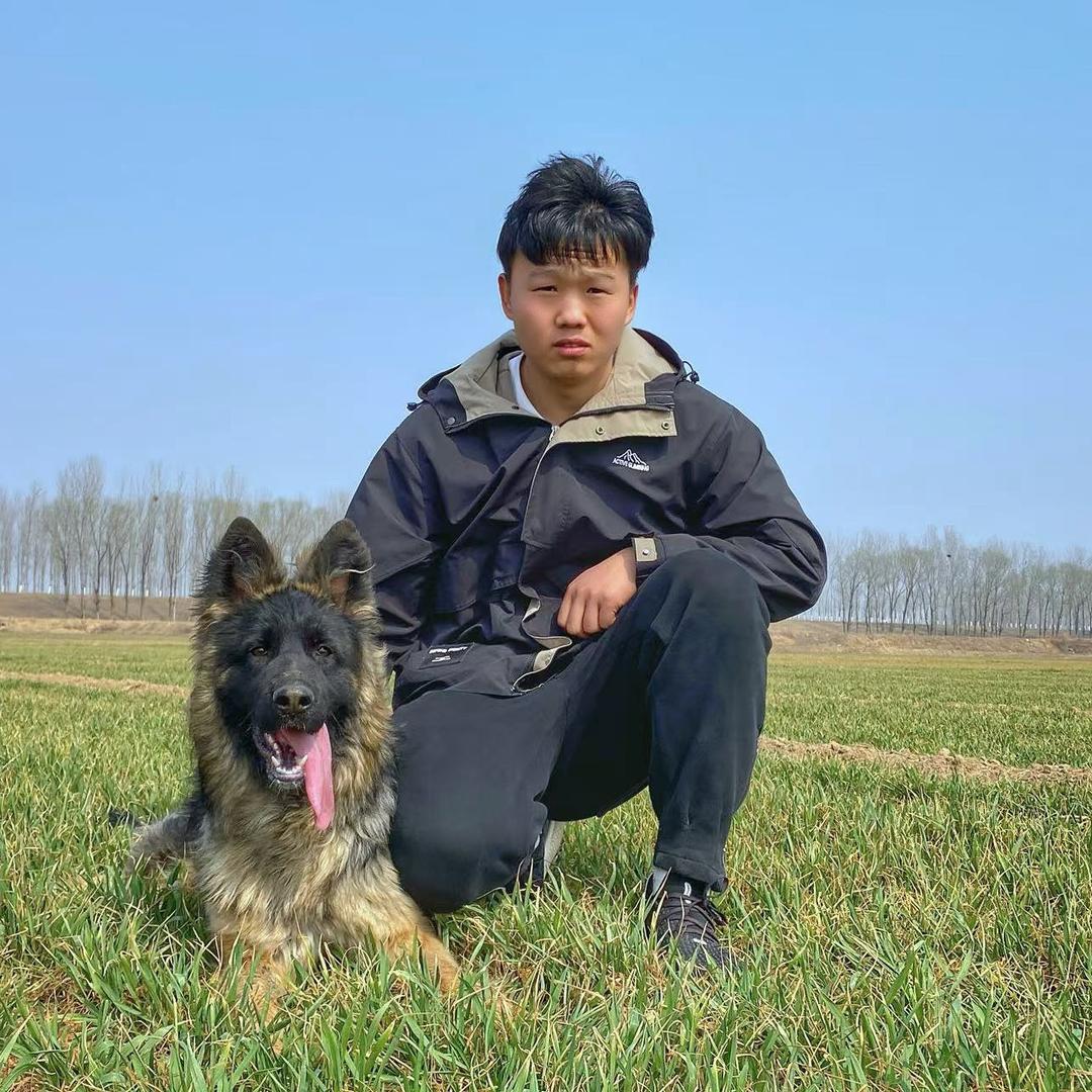 倔犟