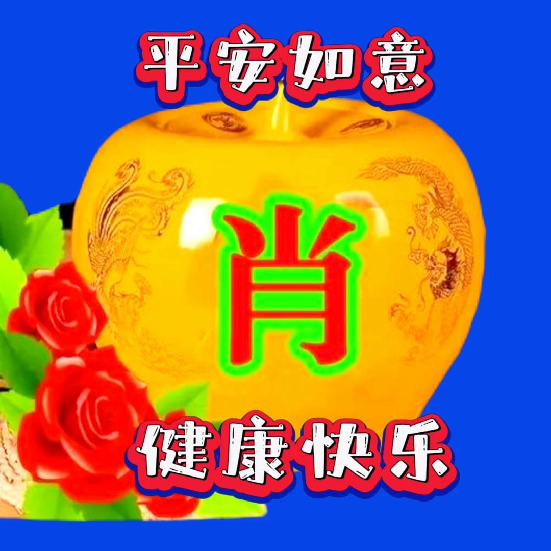猎鹰的记忆