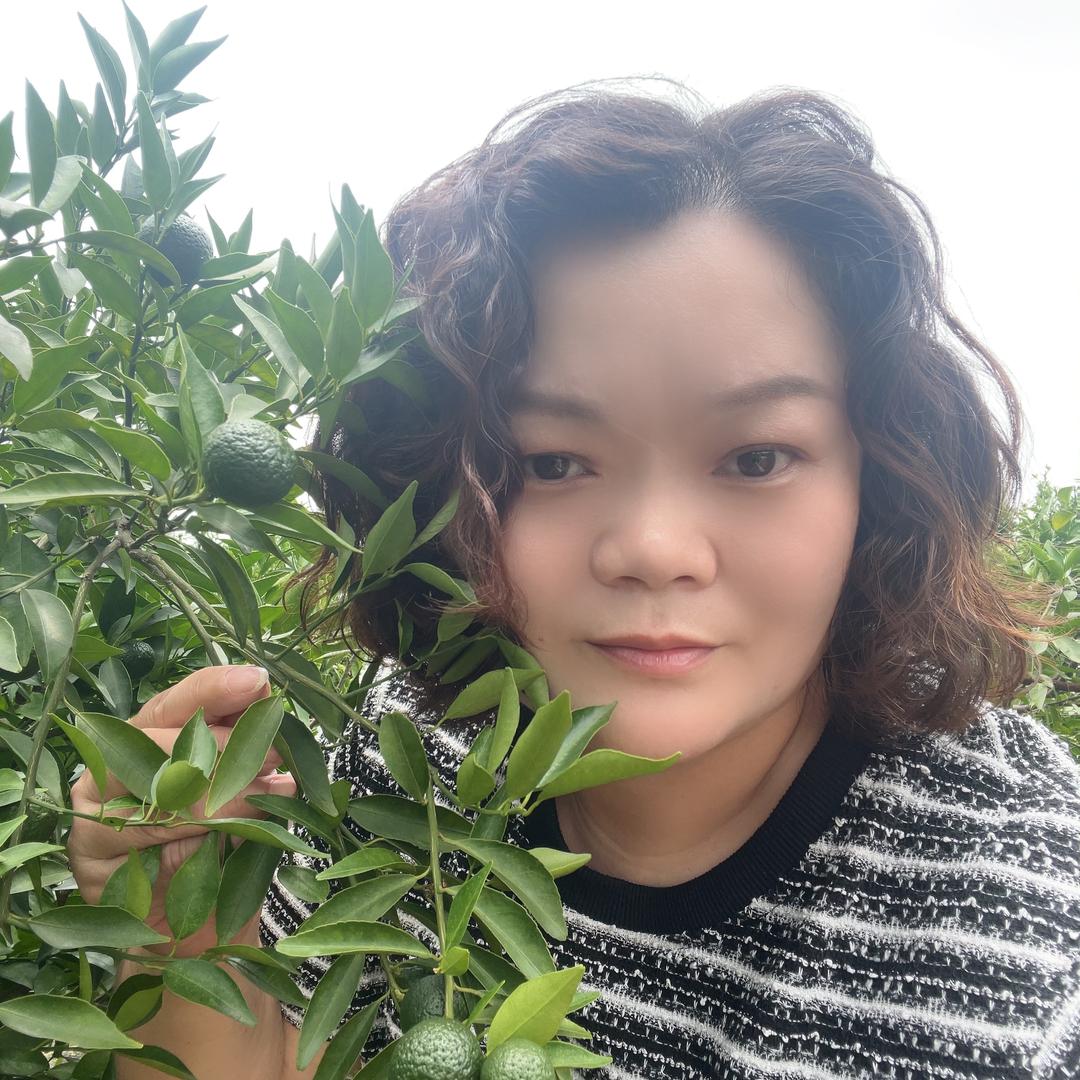新会陈皮小栈