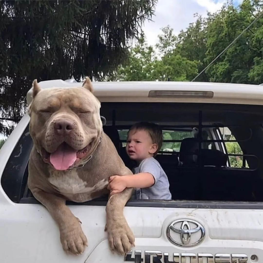 喜欢帅傻的阿孔