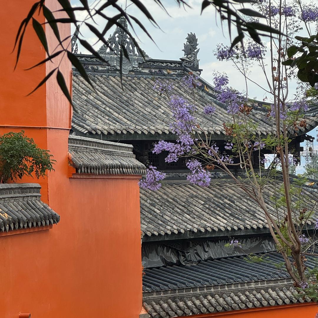 樱桃琥珀