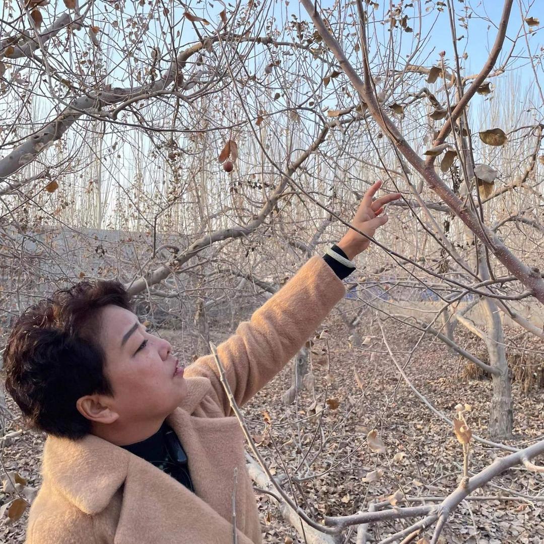 果珍鲜新疆农特产品店