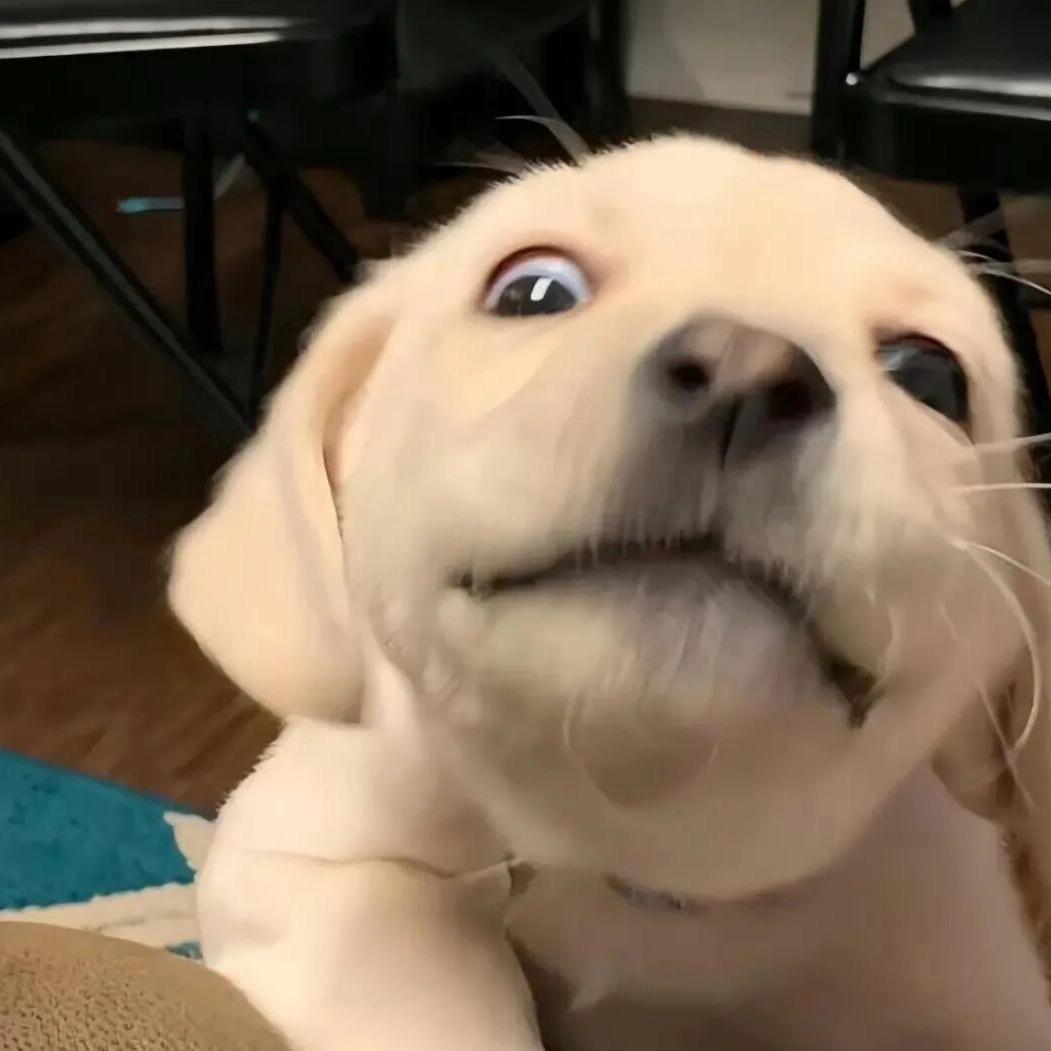 对！