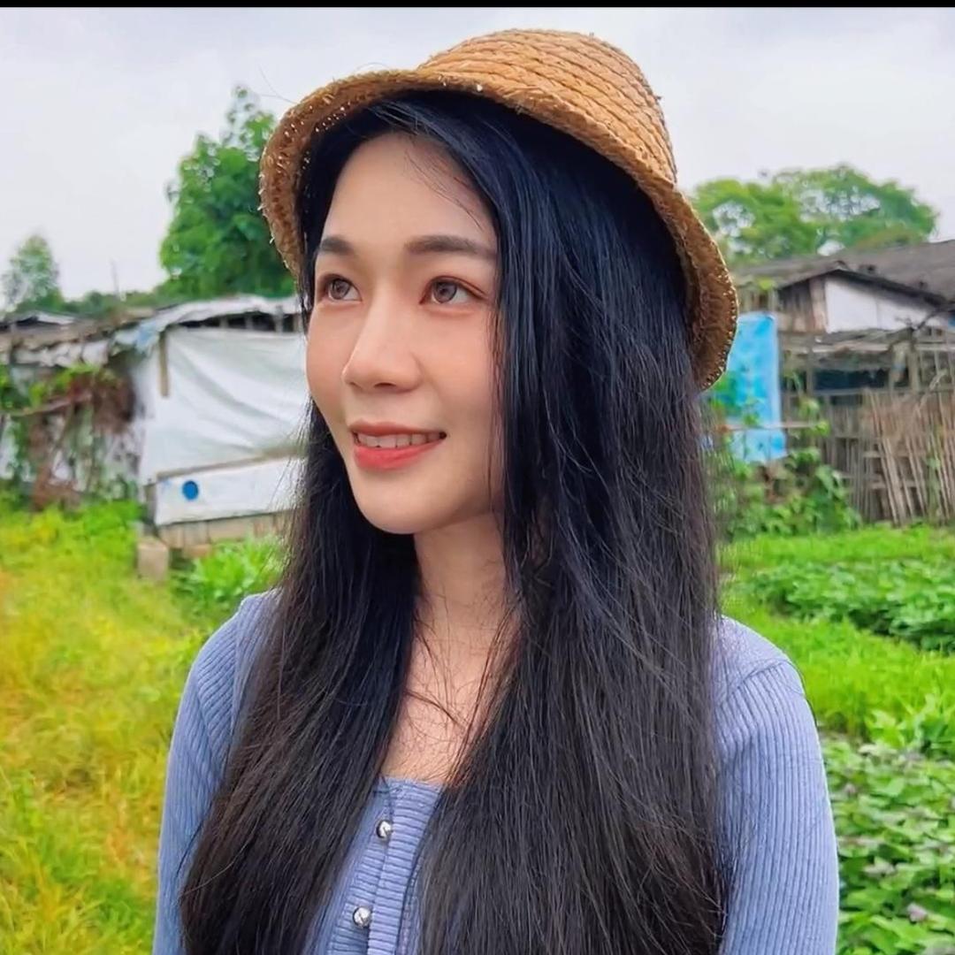 小鱼追剧