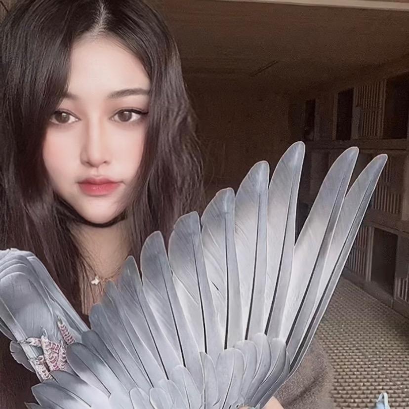 拍卖师钰莹-鸽界小柠檬