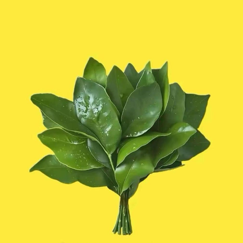 尽在