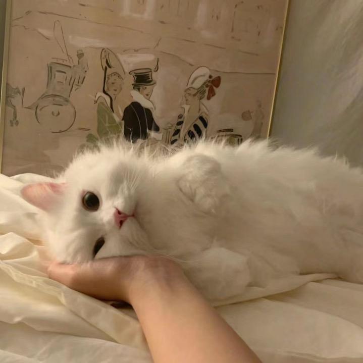 u.