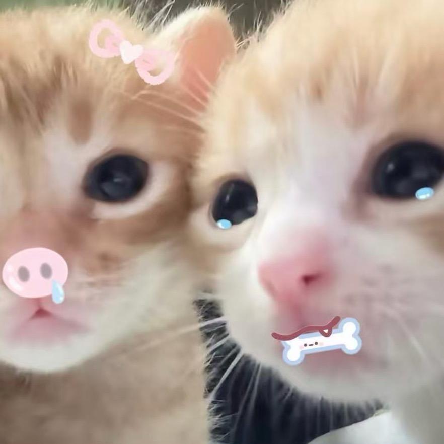 小᳐懒大王᳐੭