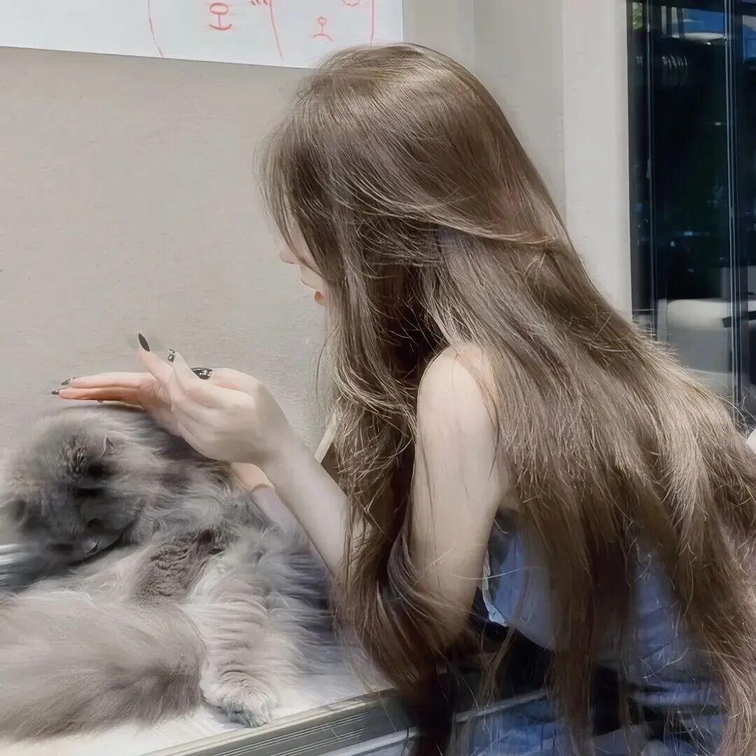 恬崽🐾