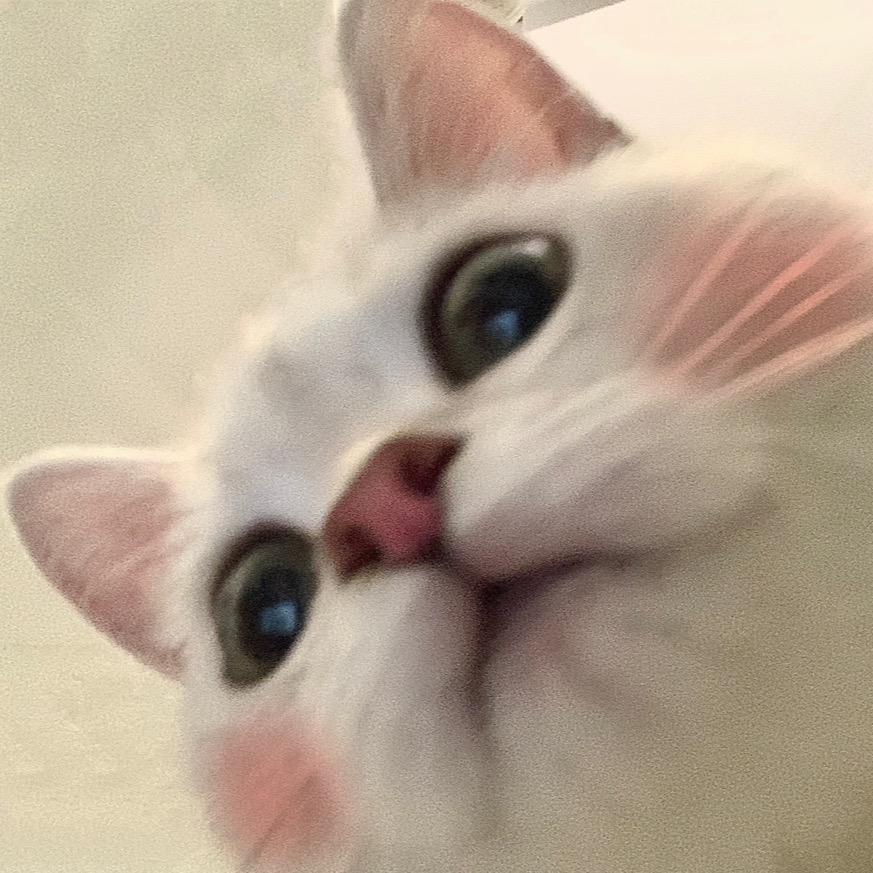 Joey的朋友圈