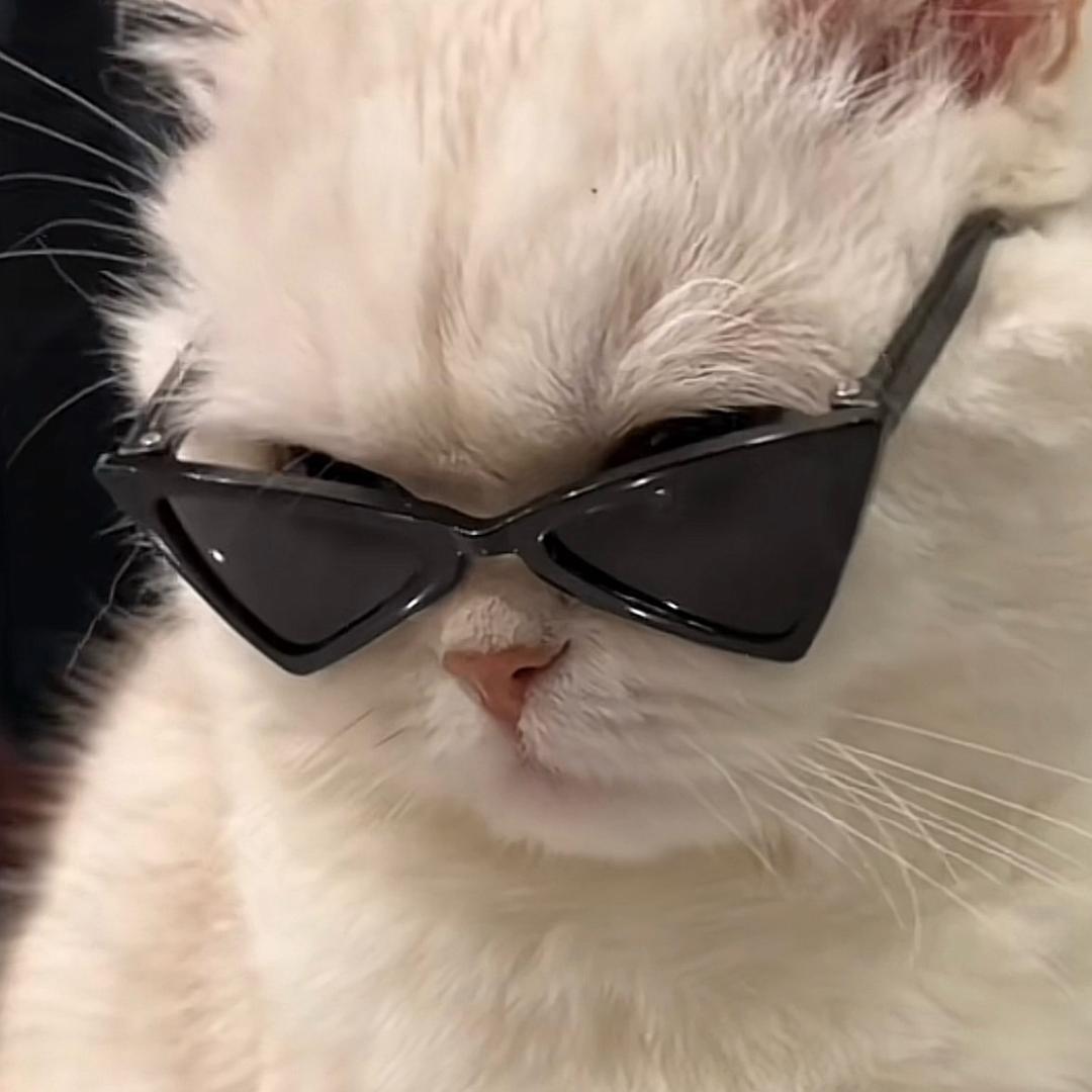 AboL外设猫