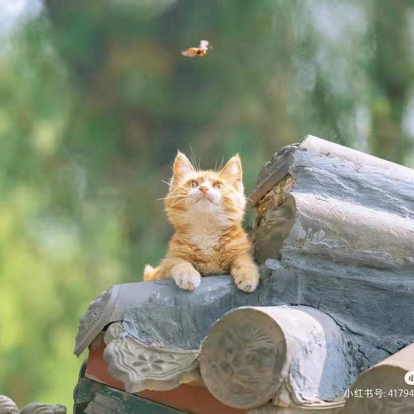 宾菓绘画工作室🎨