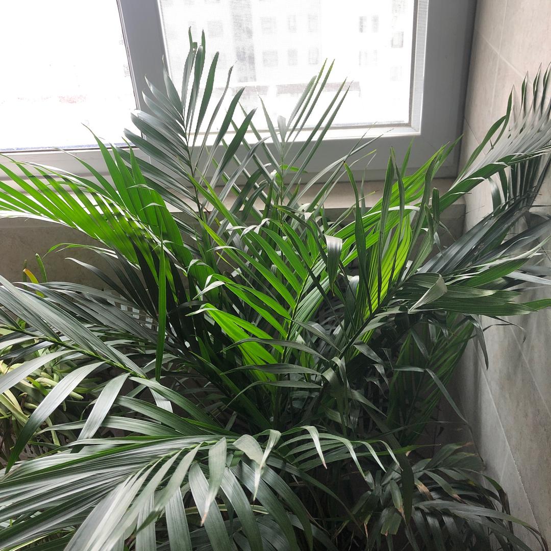 港湾