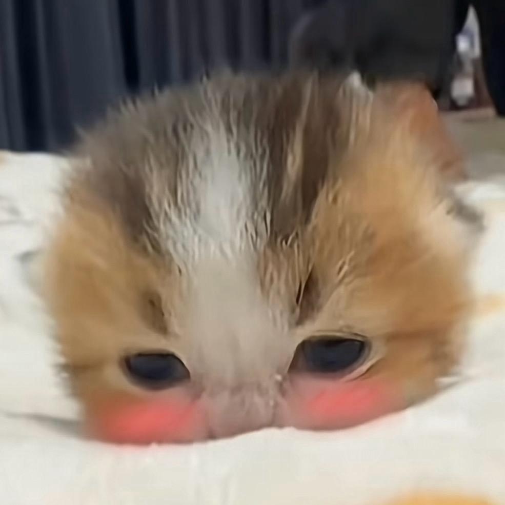 天堂有火锅吗