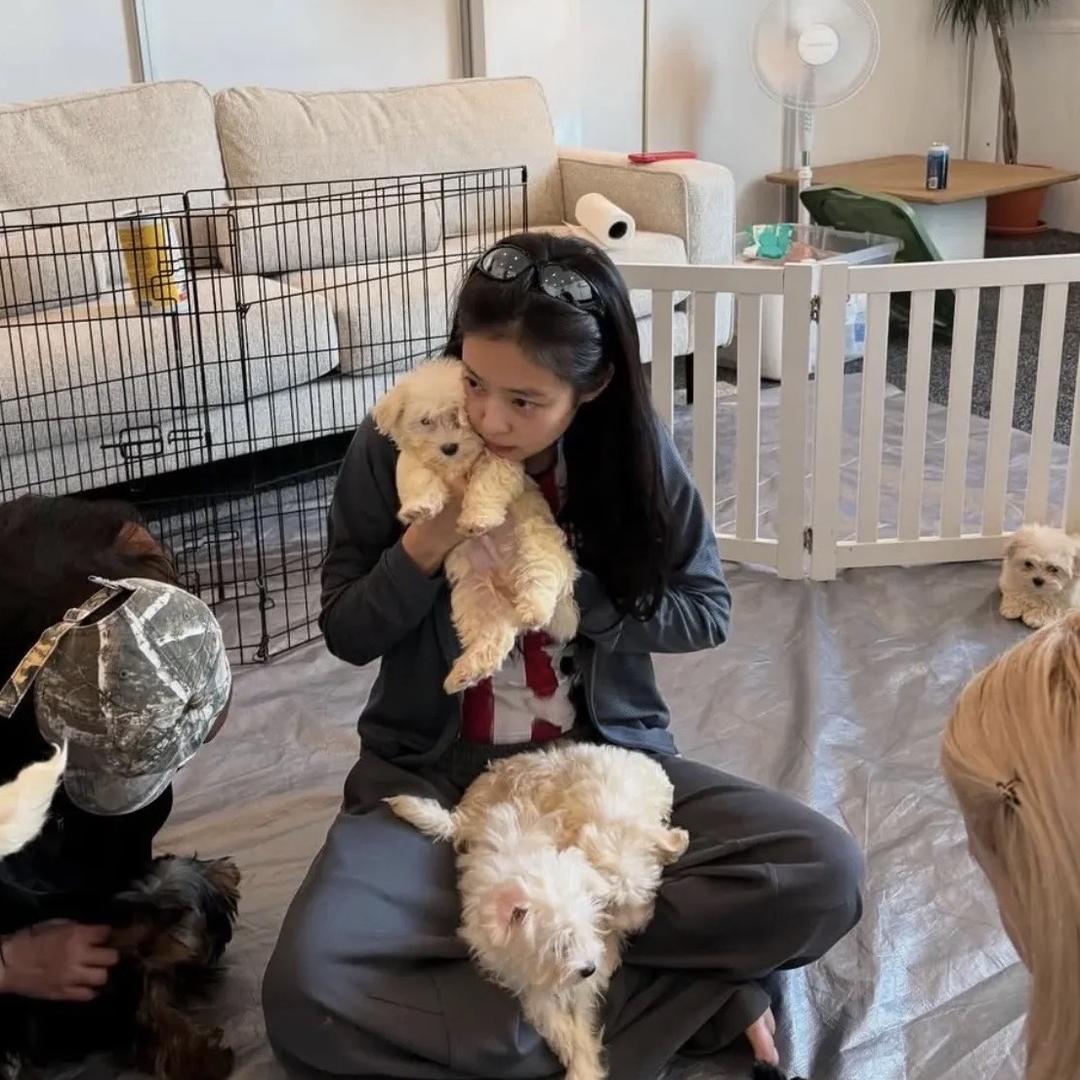 ㅤㅤ  ￰ㅤ  ㅤㅤㅤ