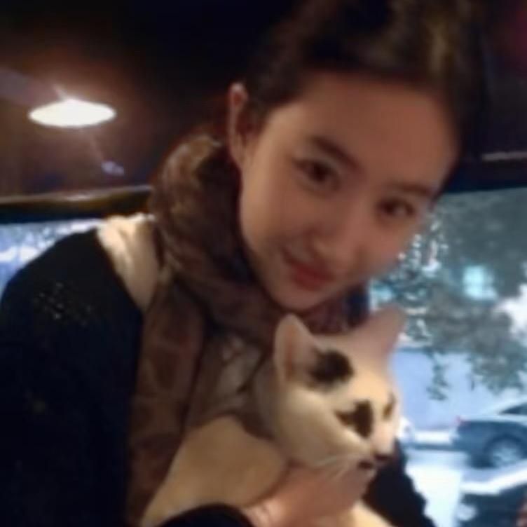 今天也要吃奶油🍞