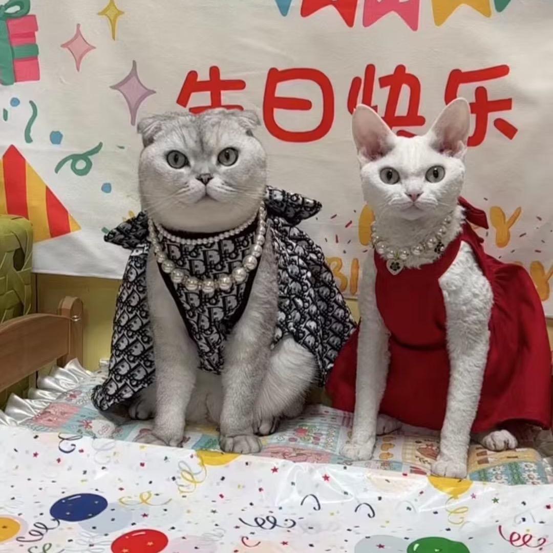 馒头妈妈