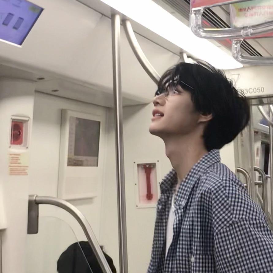 一个酸李子