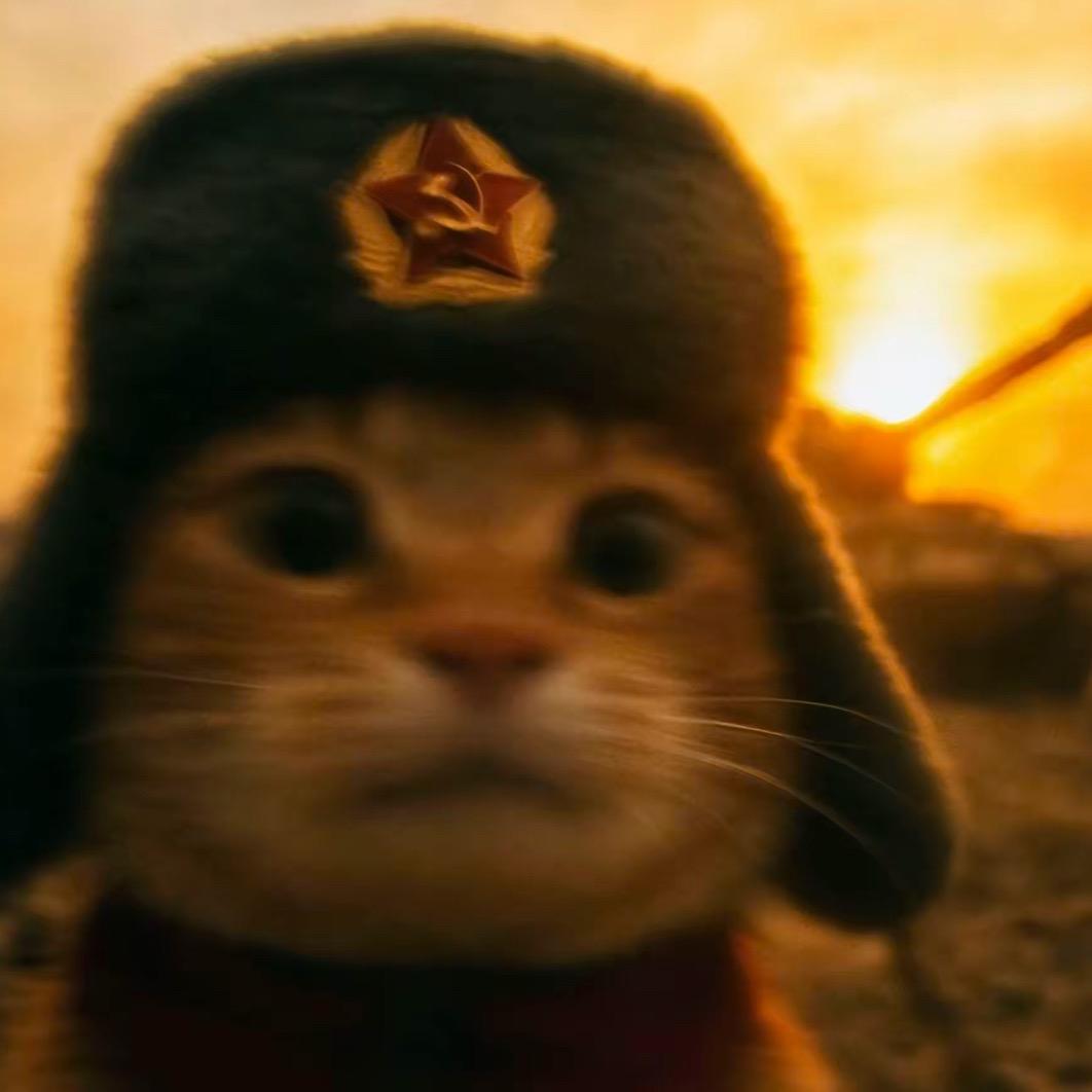 熊.