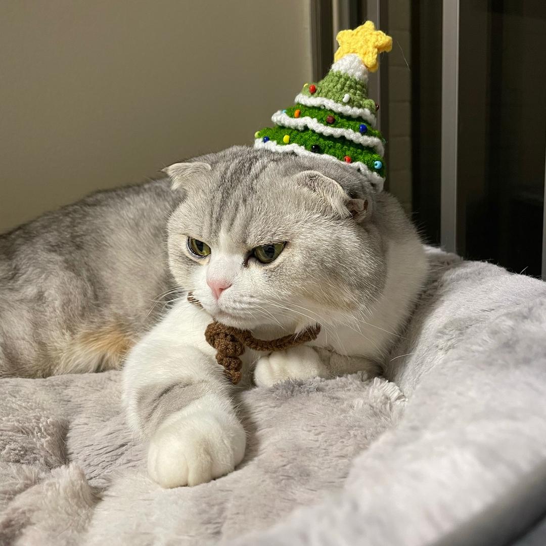 狠坏很坏的gangster