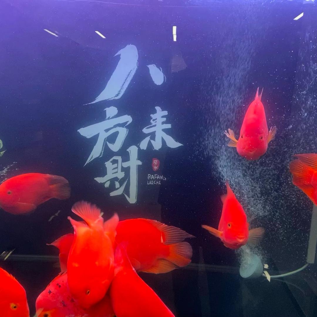 琦琦零食铺