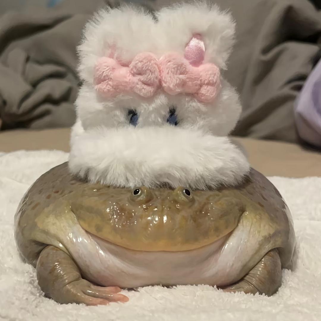 清祀