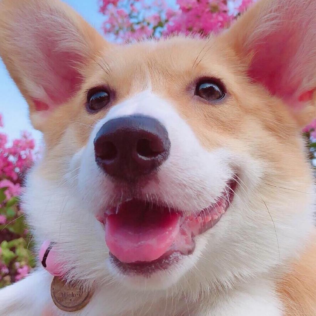 Sunshine……