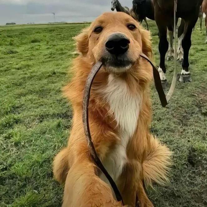 李李李李李李。