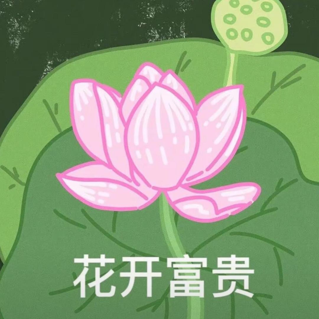 心平气荷🪷
