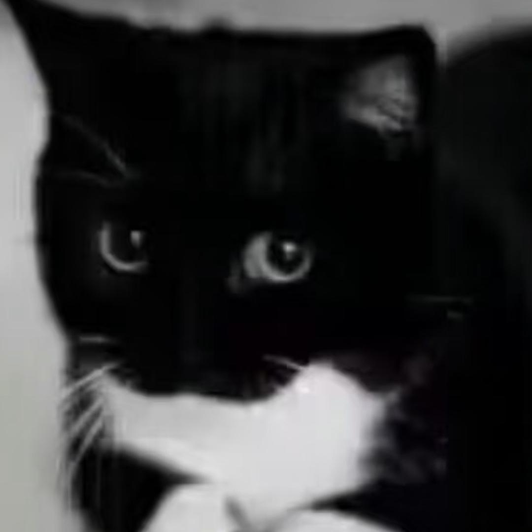 无敌贪吃阴暗小老鼠