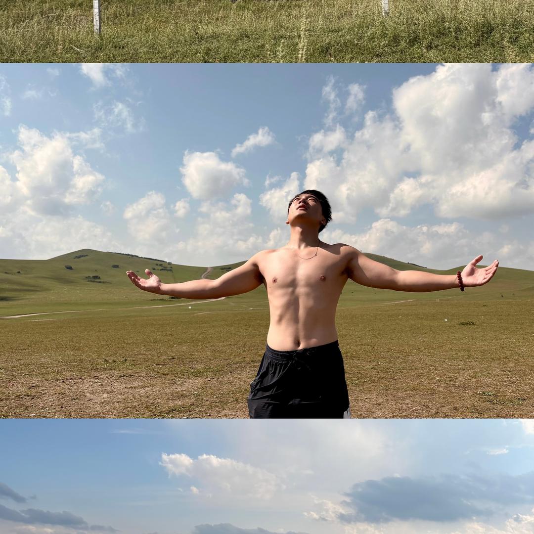 杨正舞