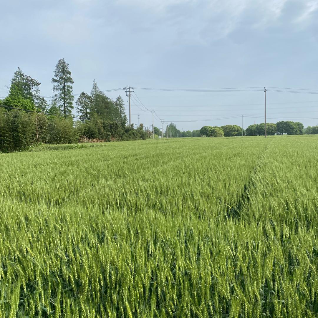 好人一生平安❤️