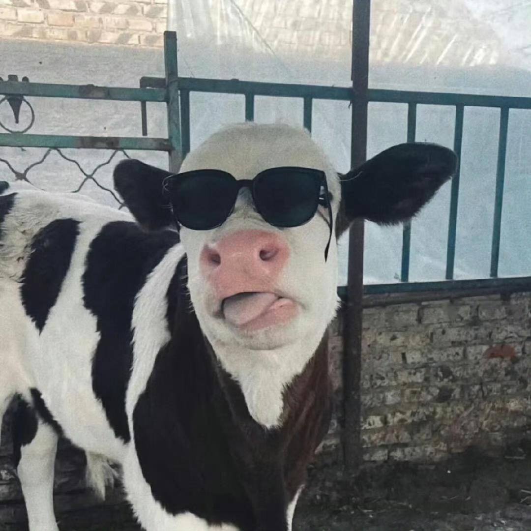 没有。