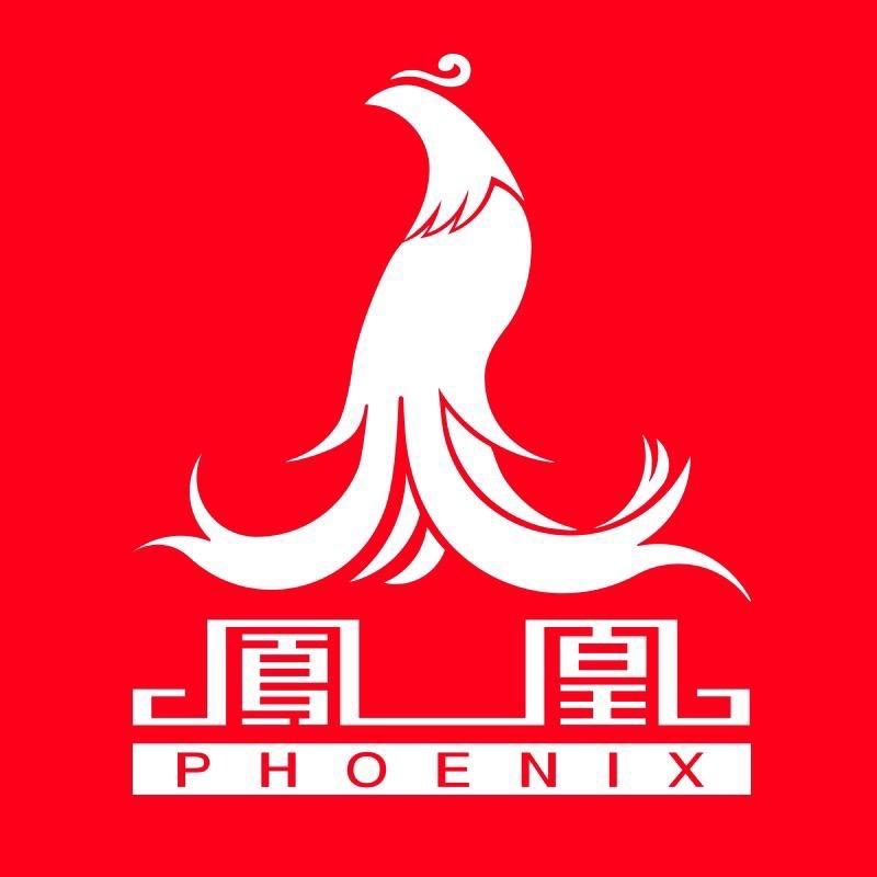 凤凰phoenix沃米儿童玩具