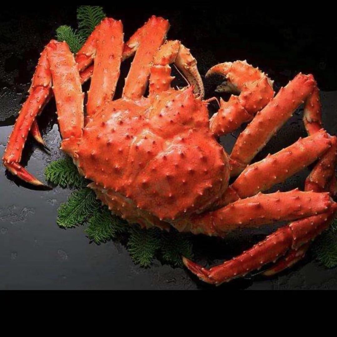 爱的奉献🌈🌈🌈